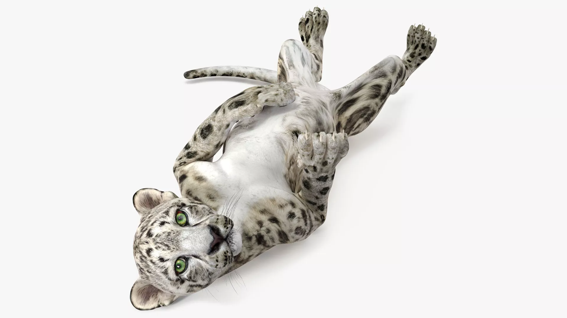 Snow Leopard Cub in Lying Playful Pose for 3D Print 3D print model