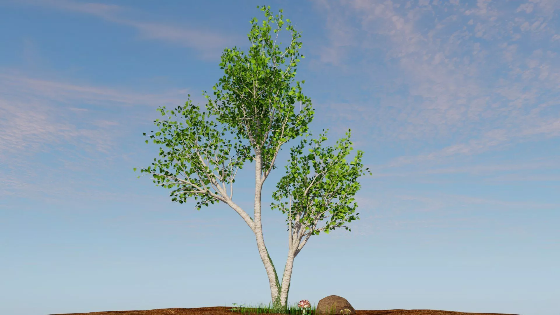 Betula pendula Low-poly 3D model