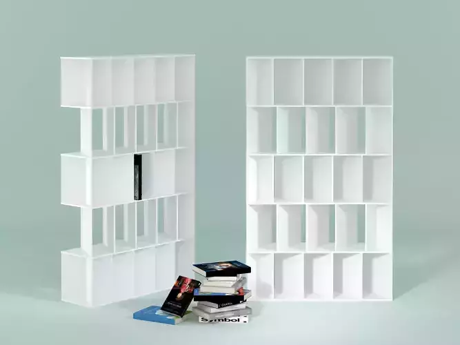 Fun bookcase 3D model