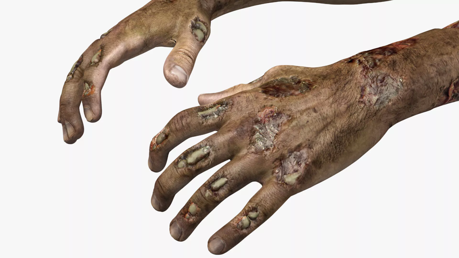 Zombie Hands Rigged for Cinema 4D 3D model