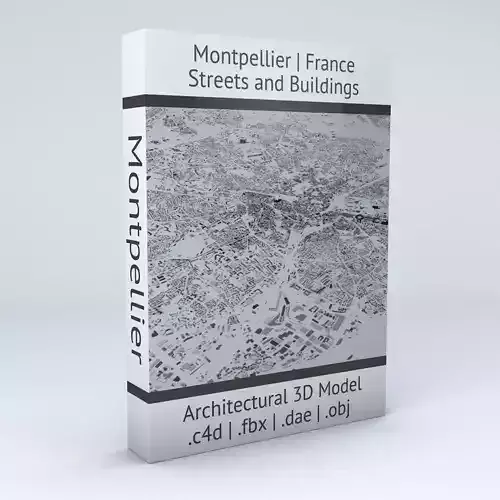 Montpellier Streets and Buildings