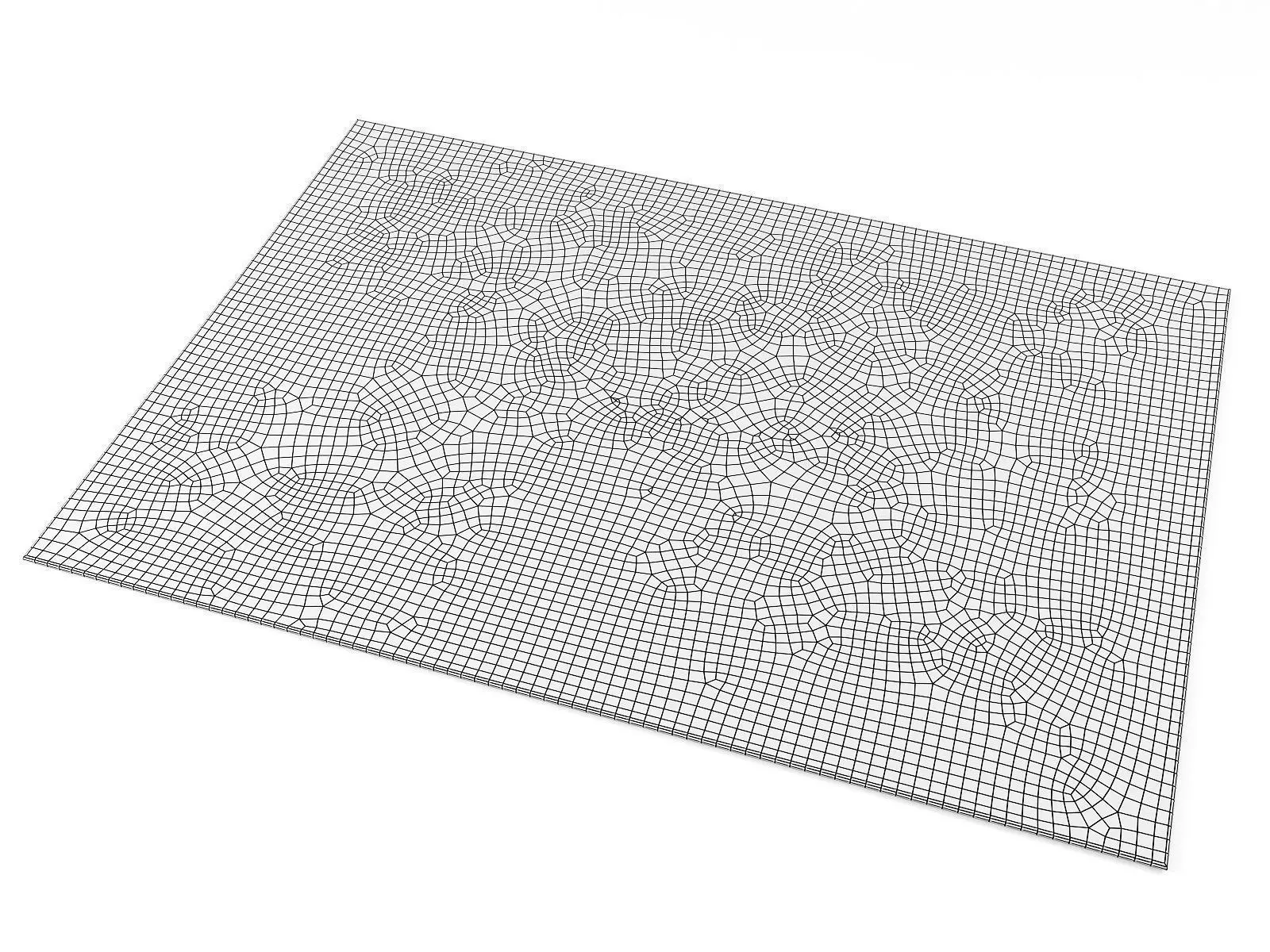 Hugo Rug 3D model_12