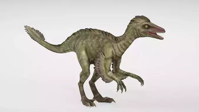 Prehistoric Realistic Troodon Dinosaur