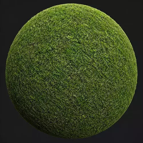 10 Seamless PBR Grass Textures free Texture | CGTrader