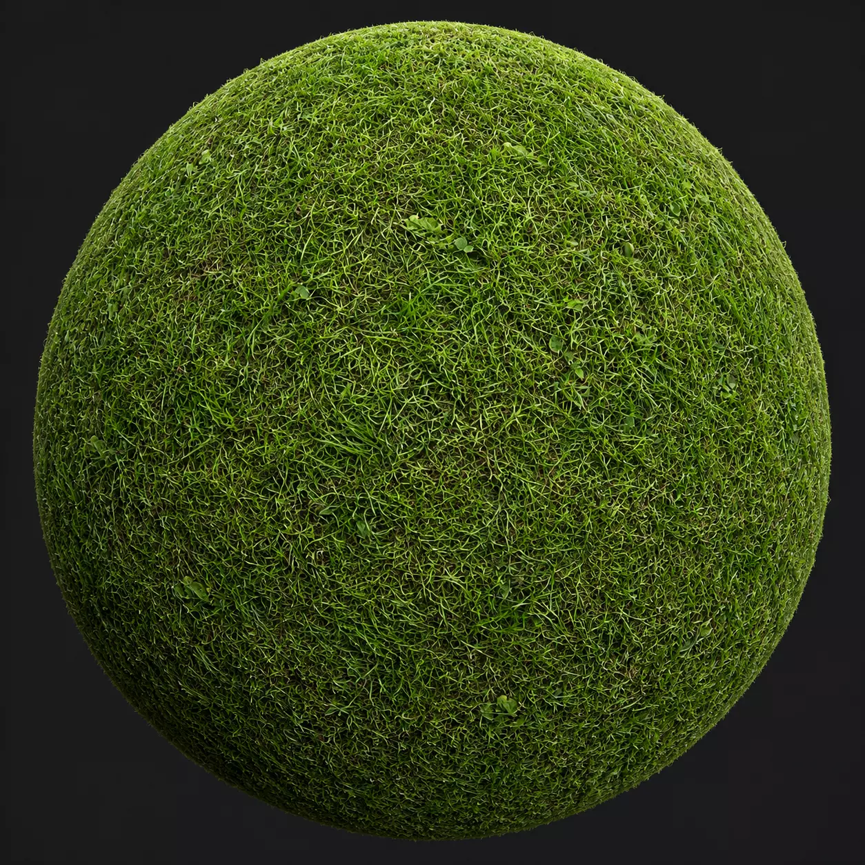 Sports Field Grass Seamless Texture Texture