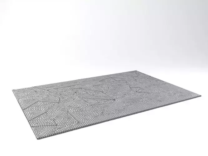 Pliages Rug