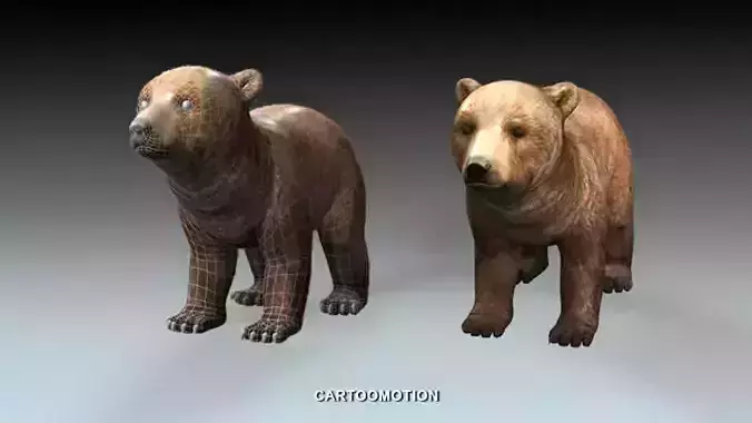 Baby Bear Low-poly 3D model