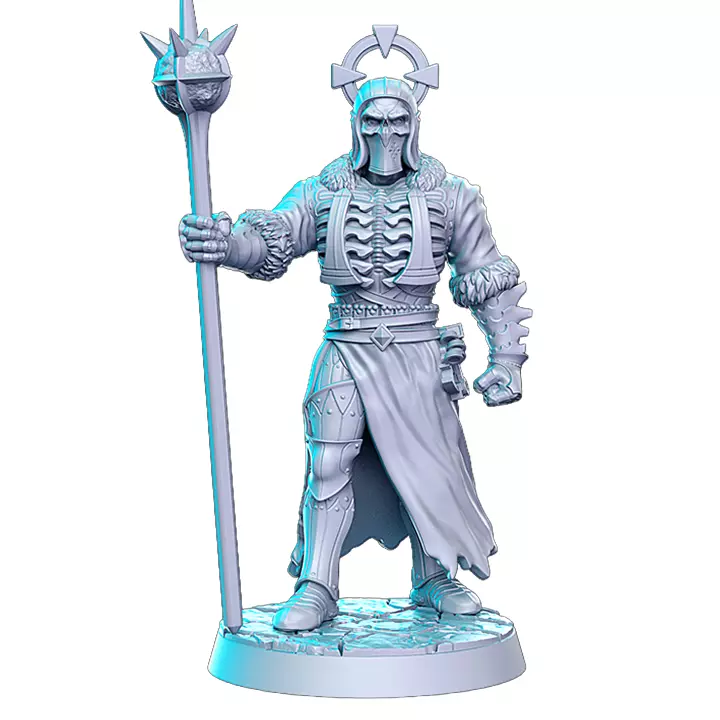 Anthiriel Elven Deathpriest IX - Tabletop RPG Miniature 3D print model