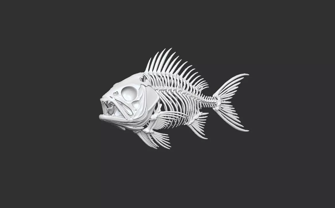Realistic Fish Skeleton 3D Print Model - Detailed Fish Bone STL 3D print model