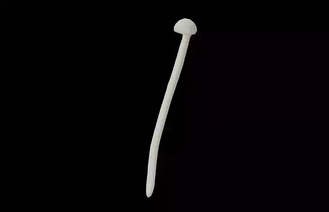 Enoki v1 001 Low-poly 3D model 4