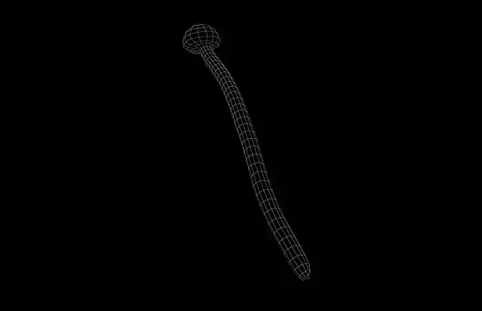 Enoki v1 001 Low-poly 3D model 5