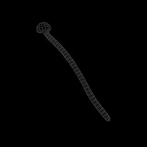 Enoki v1 001 Low-poly 3D model 6