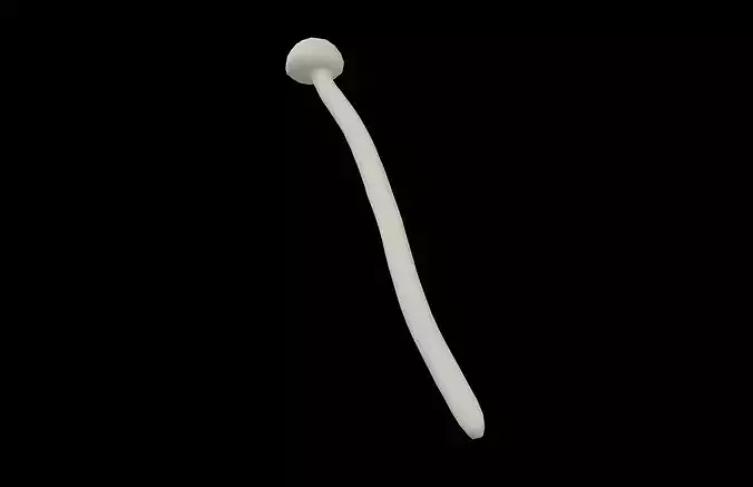 Enoki v1 001 Low-poly 3D model 3