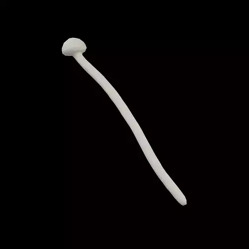 Enoki v1 001 Low-poly 3D model