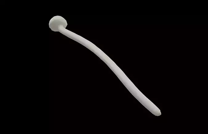 Enoki v1 001 Low-poly 3D model 2