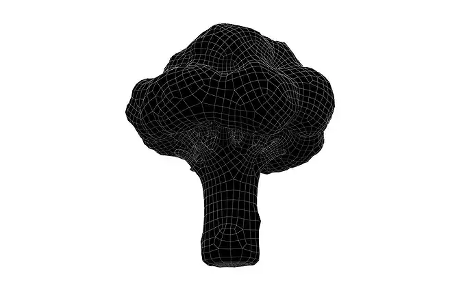 Cartoon Broccoli v2 001 Low-poly 3D model 6