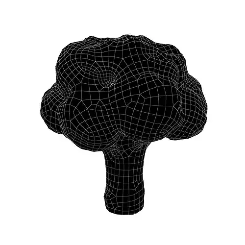 Cartoon Broccoli v2 001 Low-poly 3D model 5