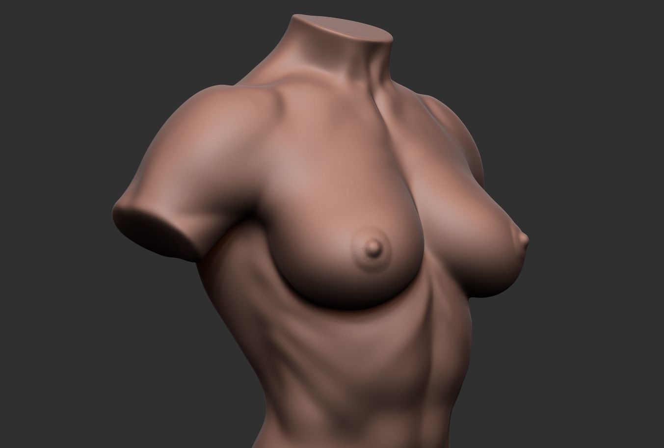 Bodybuilder Female Torso Low-poly 3D model_4