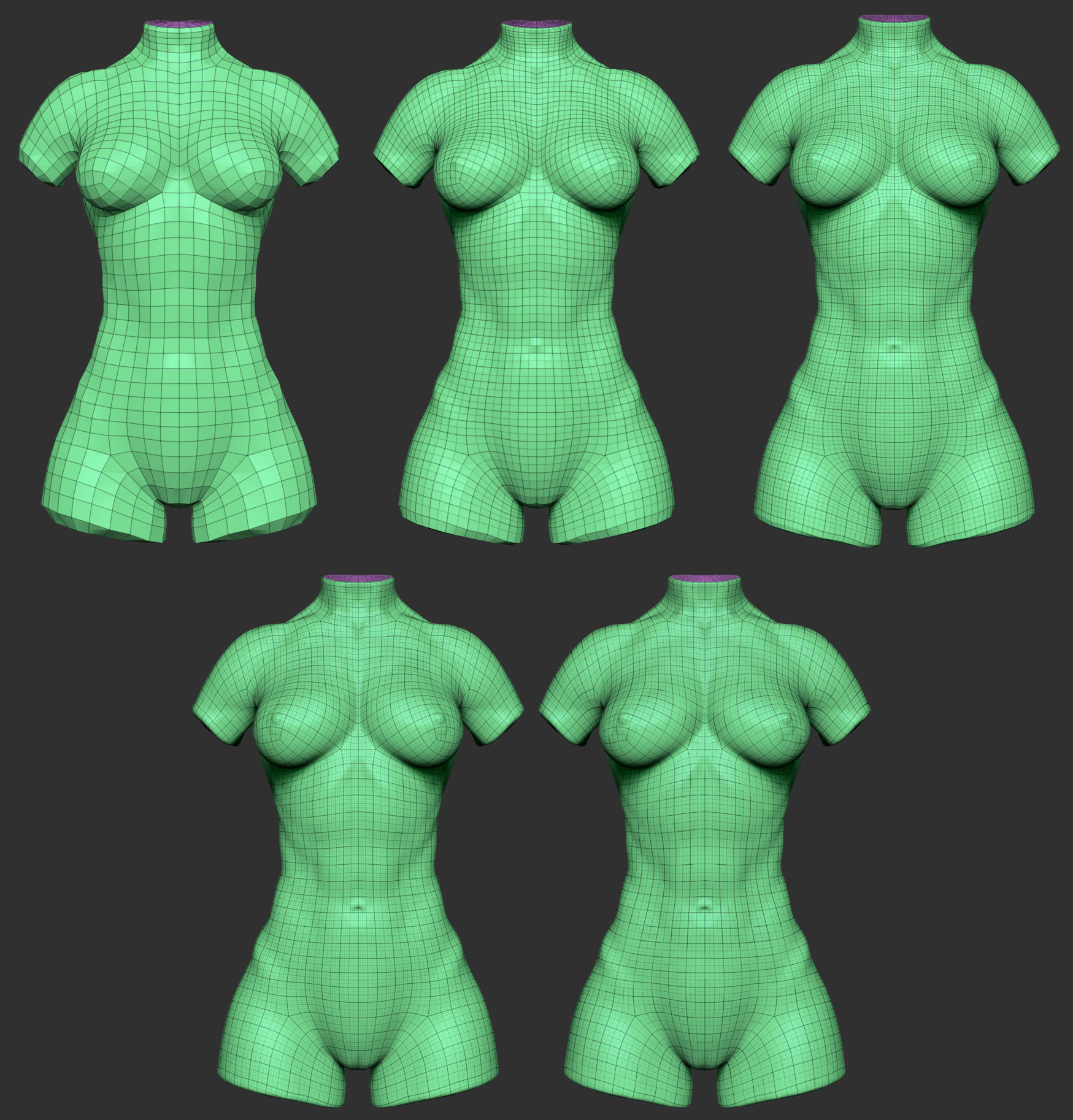 Bodybuilder Female Torso Low-poly 3D model_1