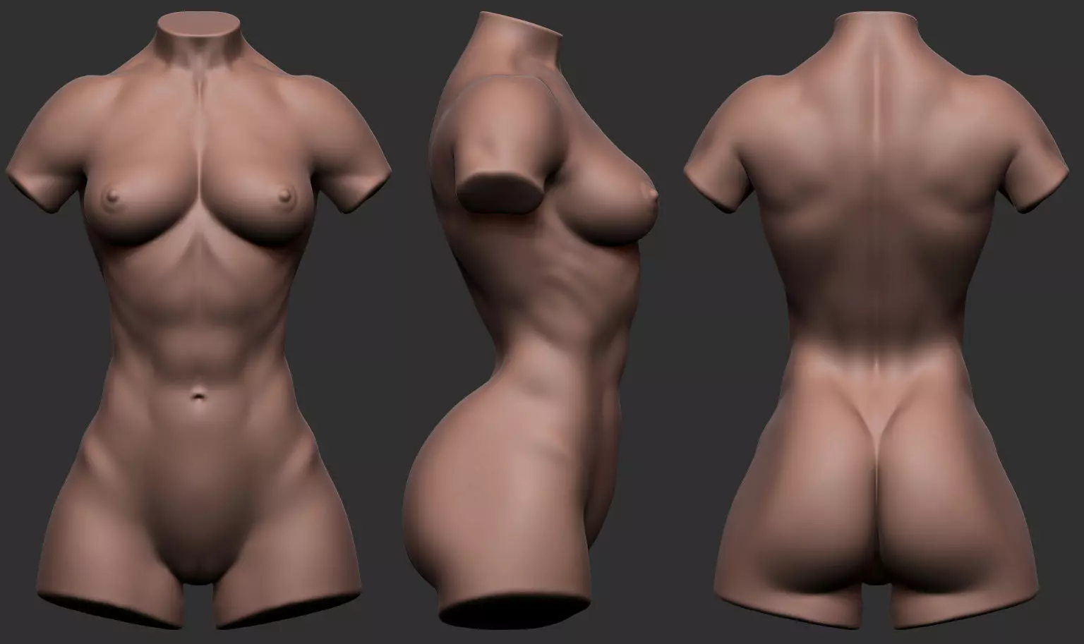 Bodybuilder Female Torso Low-poly 3D model_0
