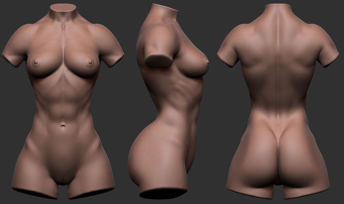 Bodybuilder Female Torso Low-poly 3D model