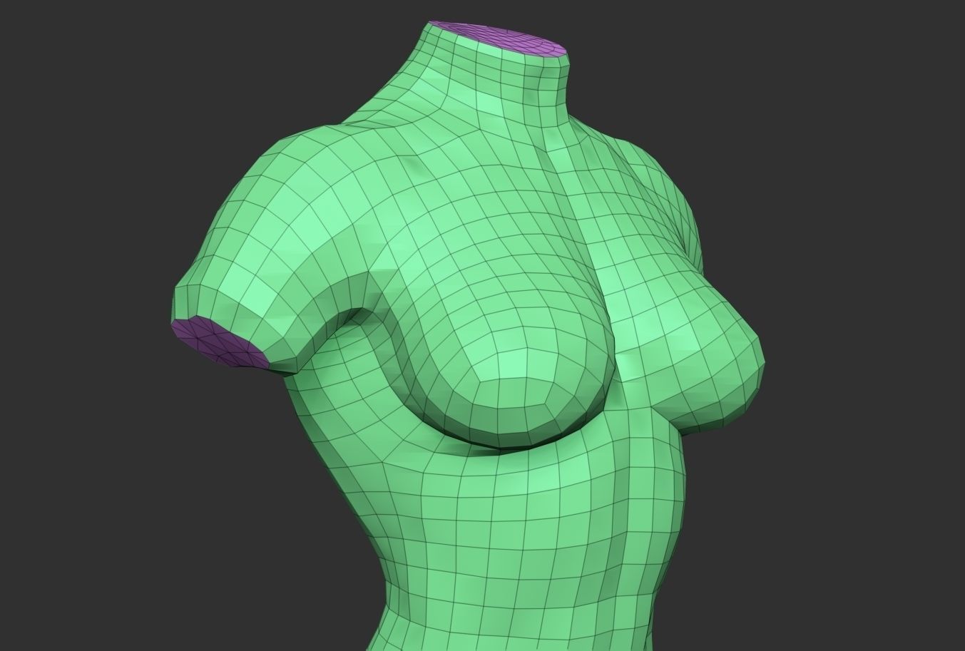 Bodybuilder Female Torso Low-poly 3D model_5