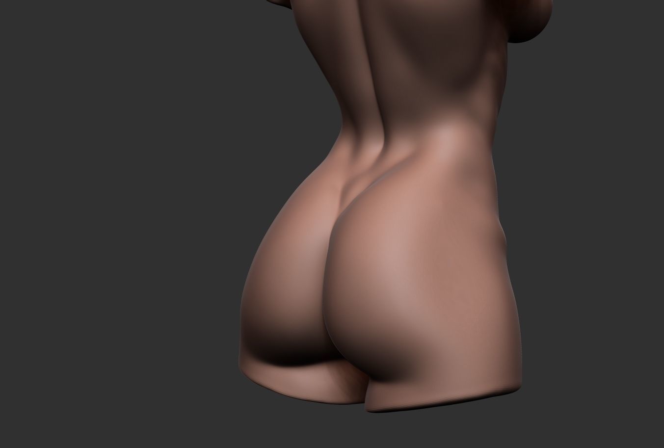 Bodybuilder Female Torso Low-poly 3D model_7