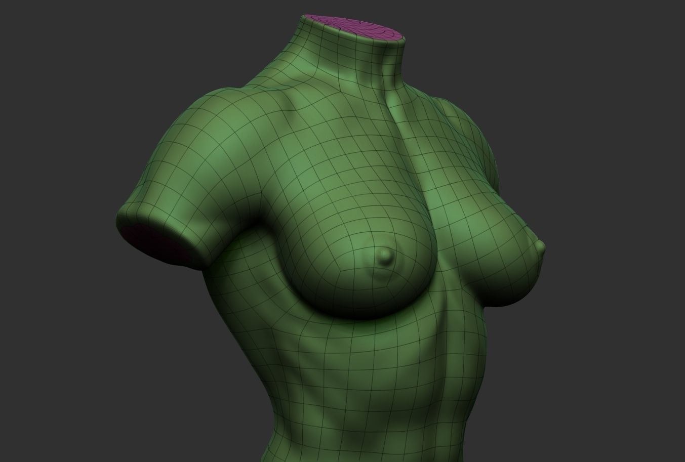 Bodybuilder Female Torso Low-poly 3D model_6