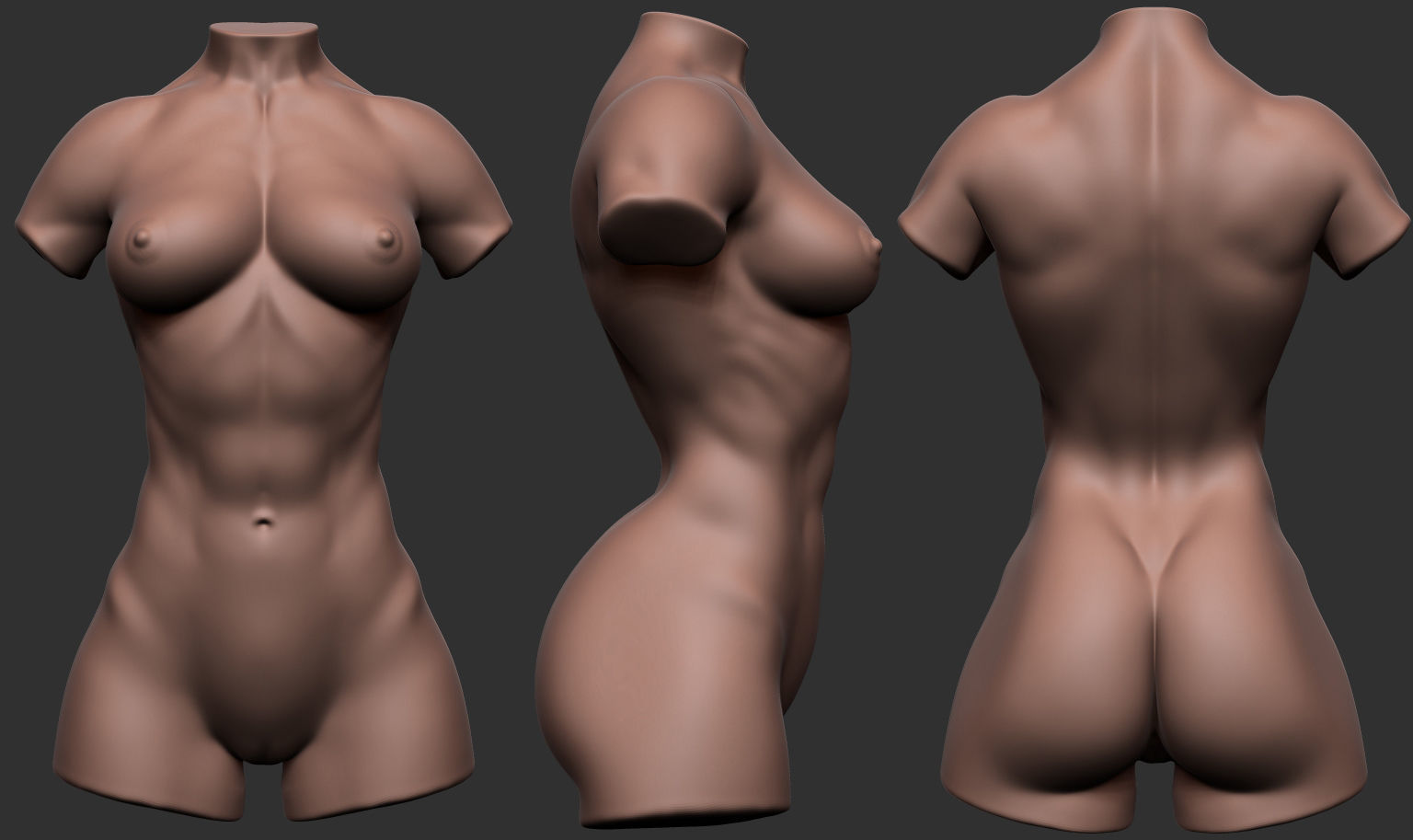 Bodybuilder Female Torso Low-poly 3D model_2