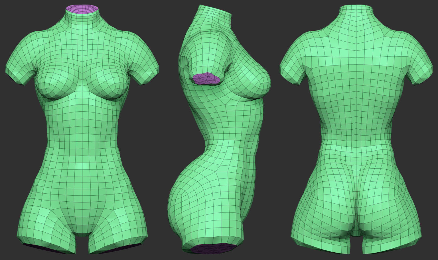 Bodybuilder Female Torso Low-poly 3D model_3