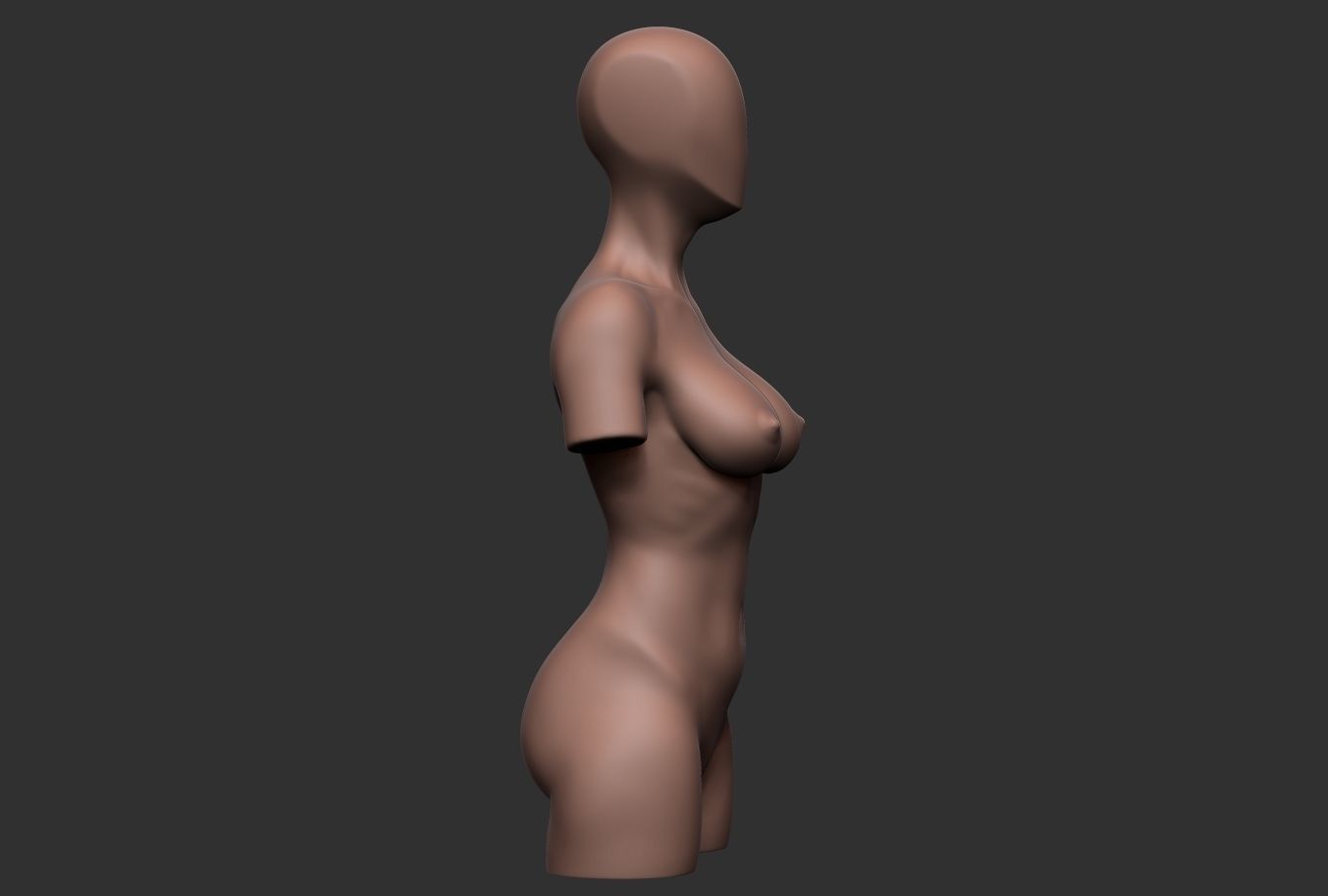 Female Torso 04 Low-poly 3D model_3