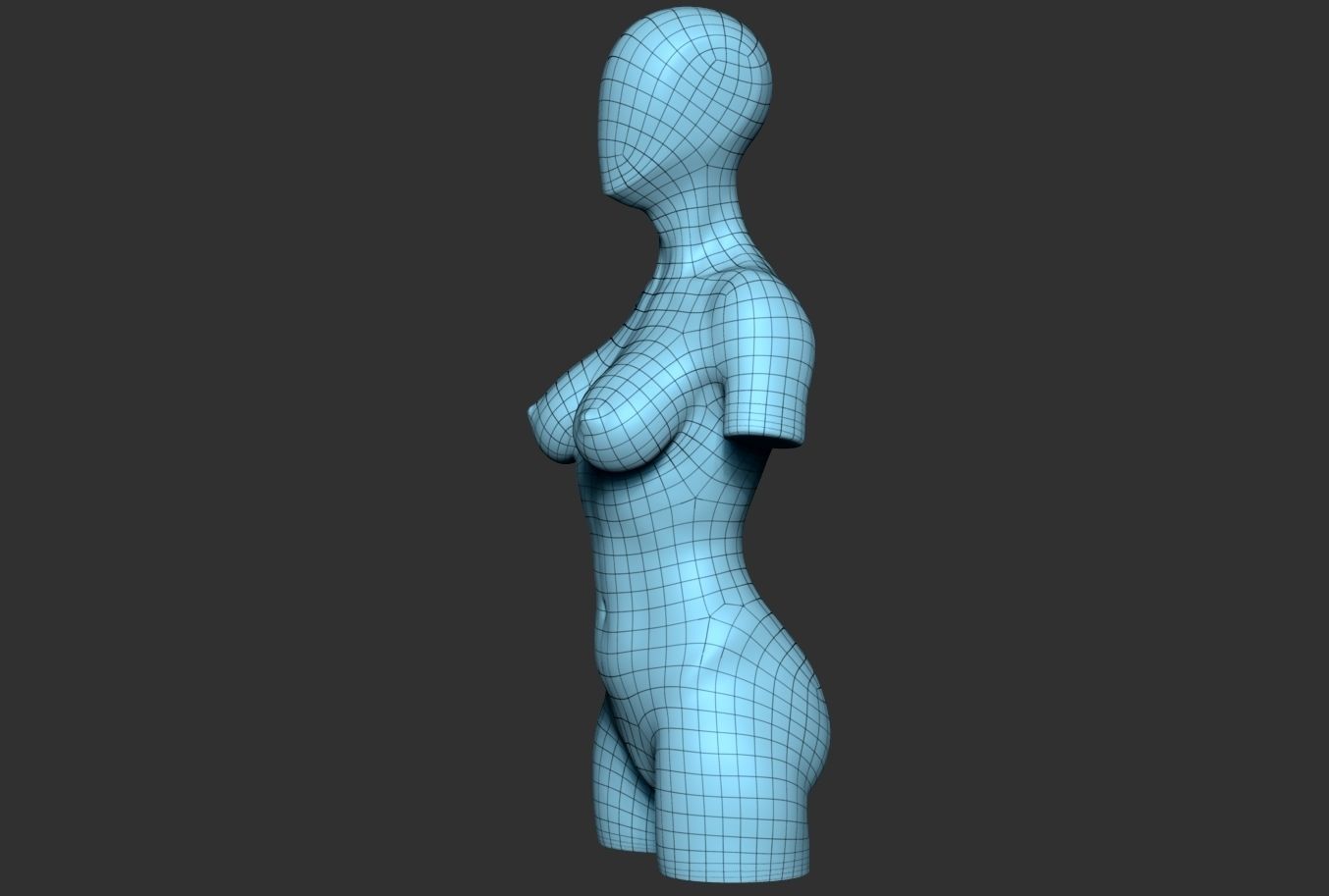 Female Torso 04 Low-poly 3D model_8