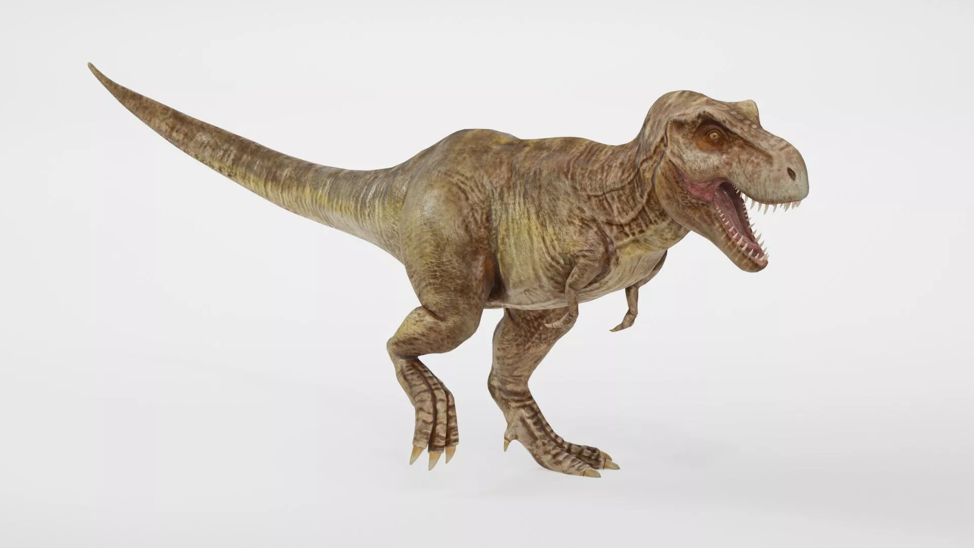 Realistic Tyrannosaurus Rex Low-poly 3D model