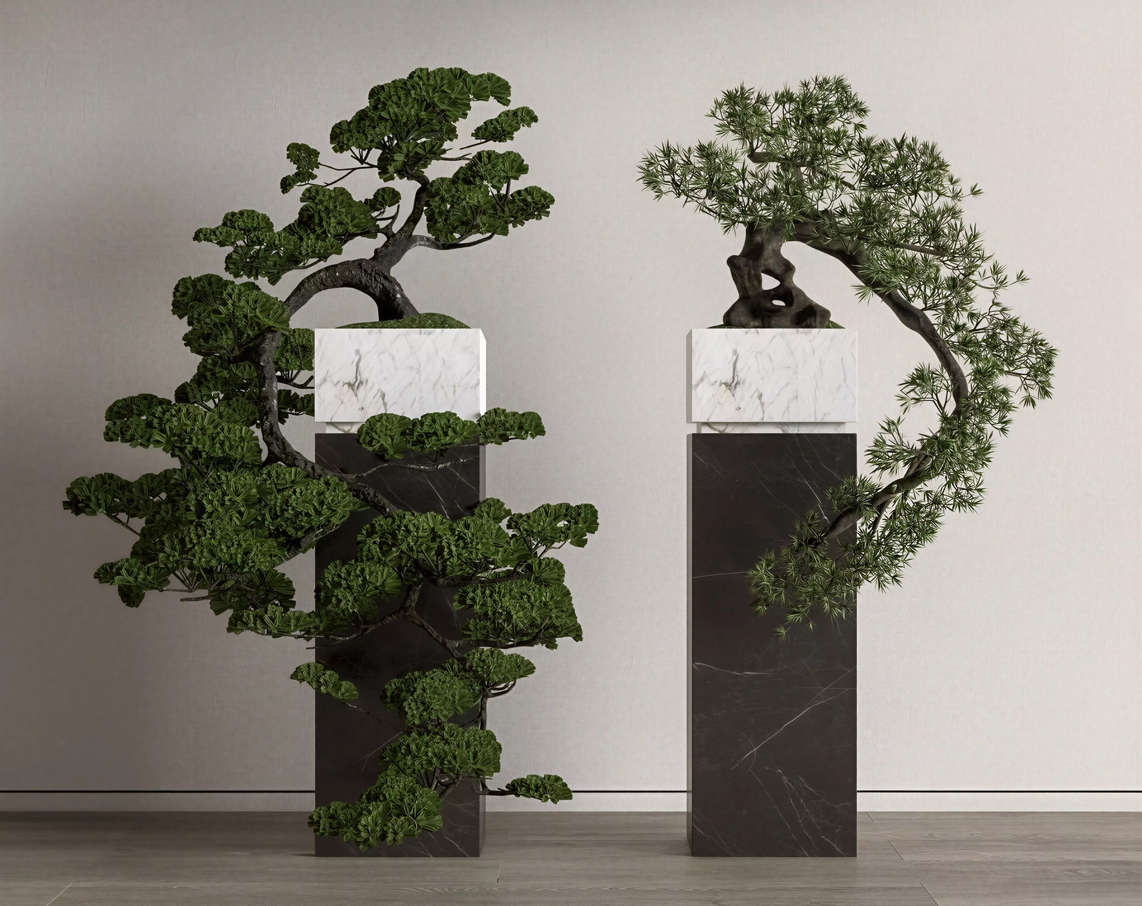 Cascading Curved Pine Bonsai 3D Scene 3D model