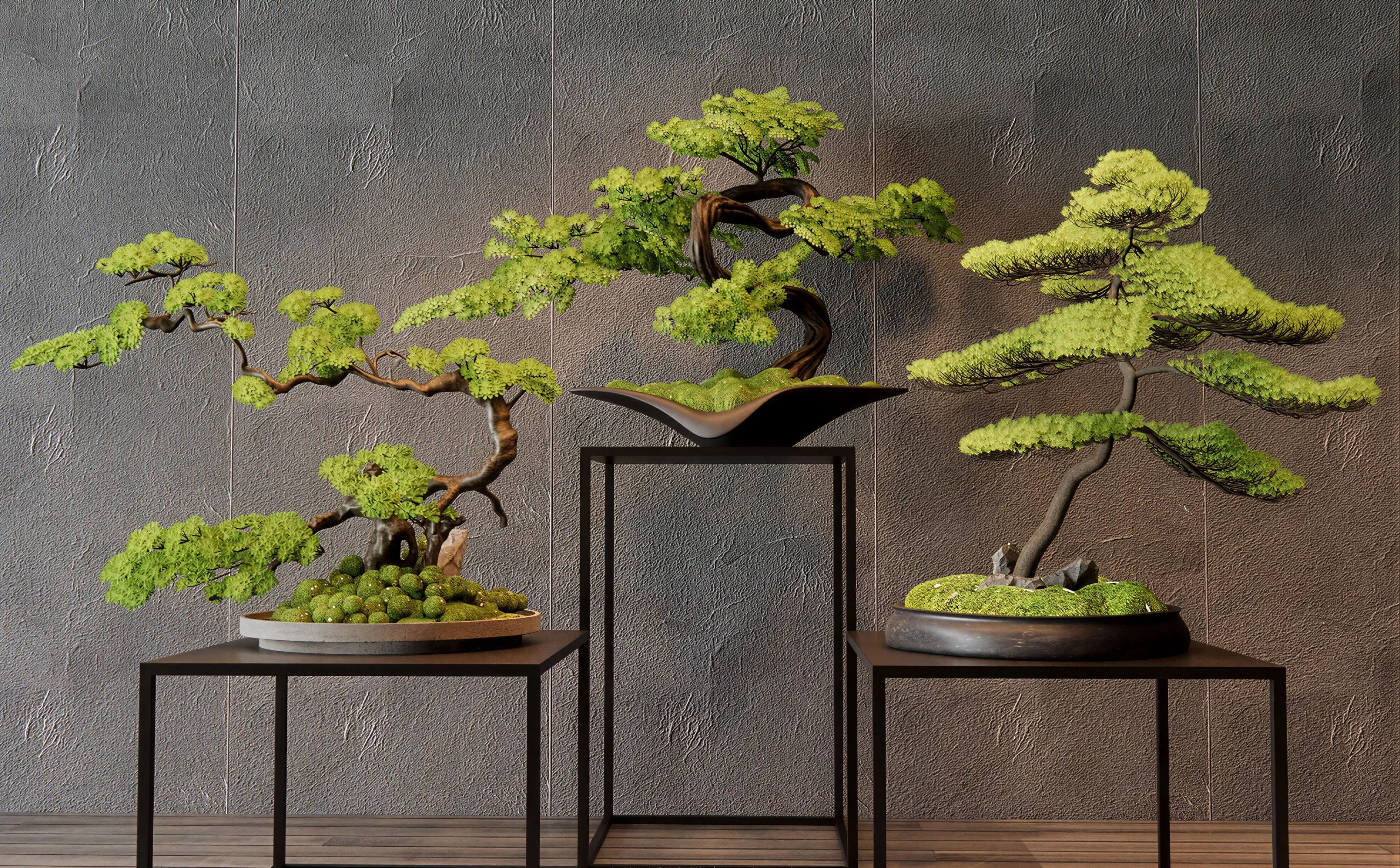 Twisted Trunk Pine Bonsai 3D Scene 3D model