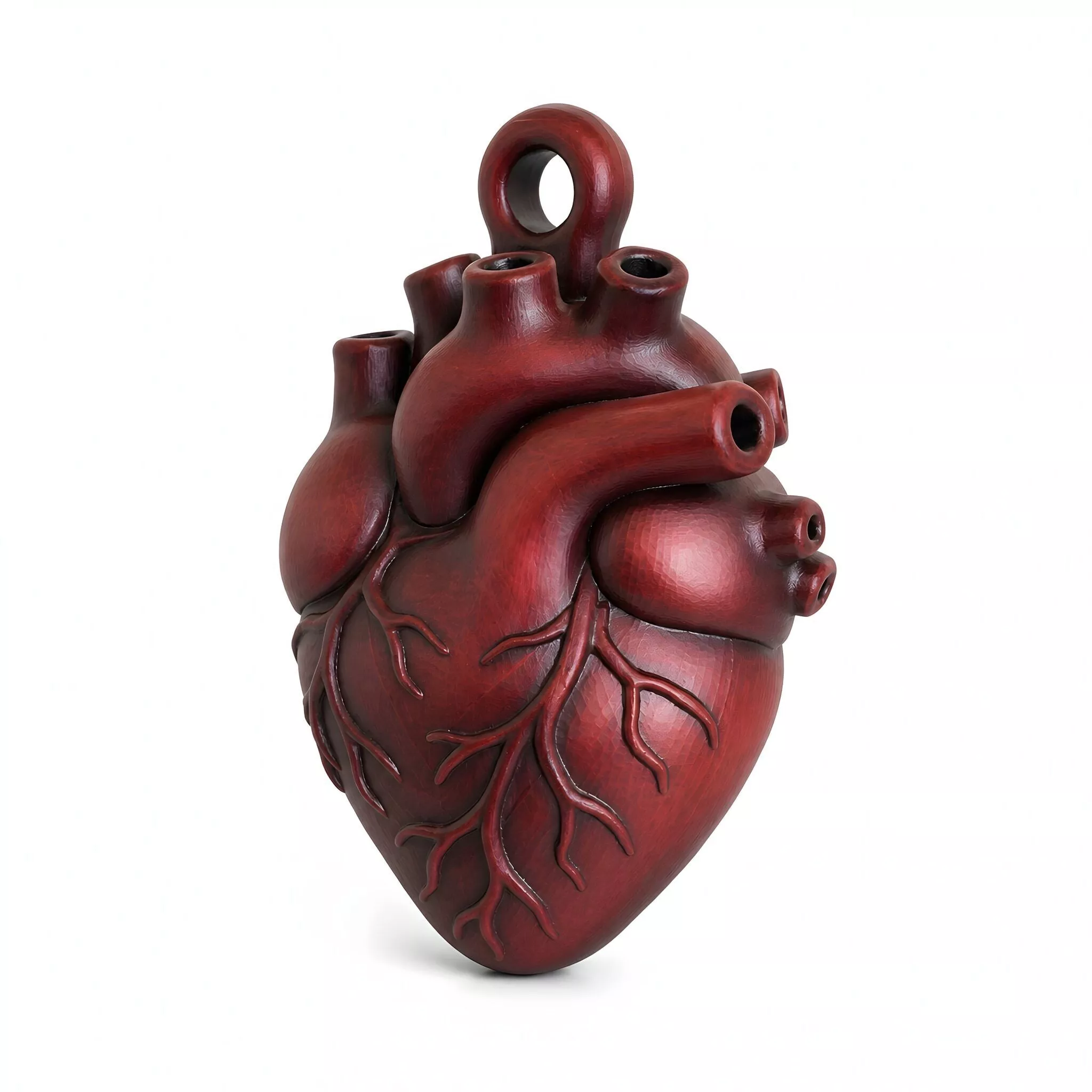 Refined Anatomical Heart Pendant 3D Printable Model 3D print model