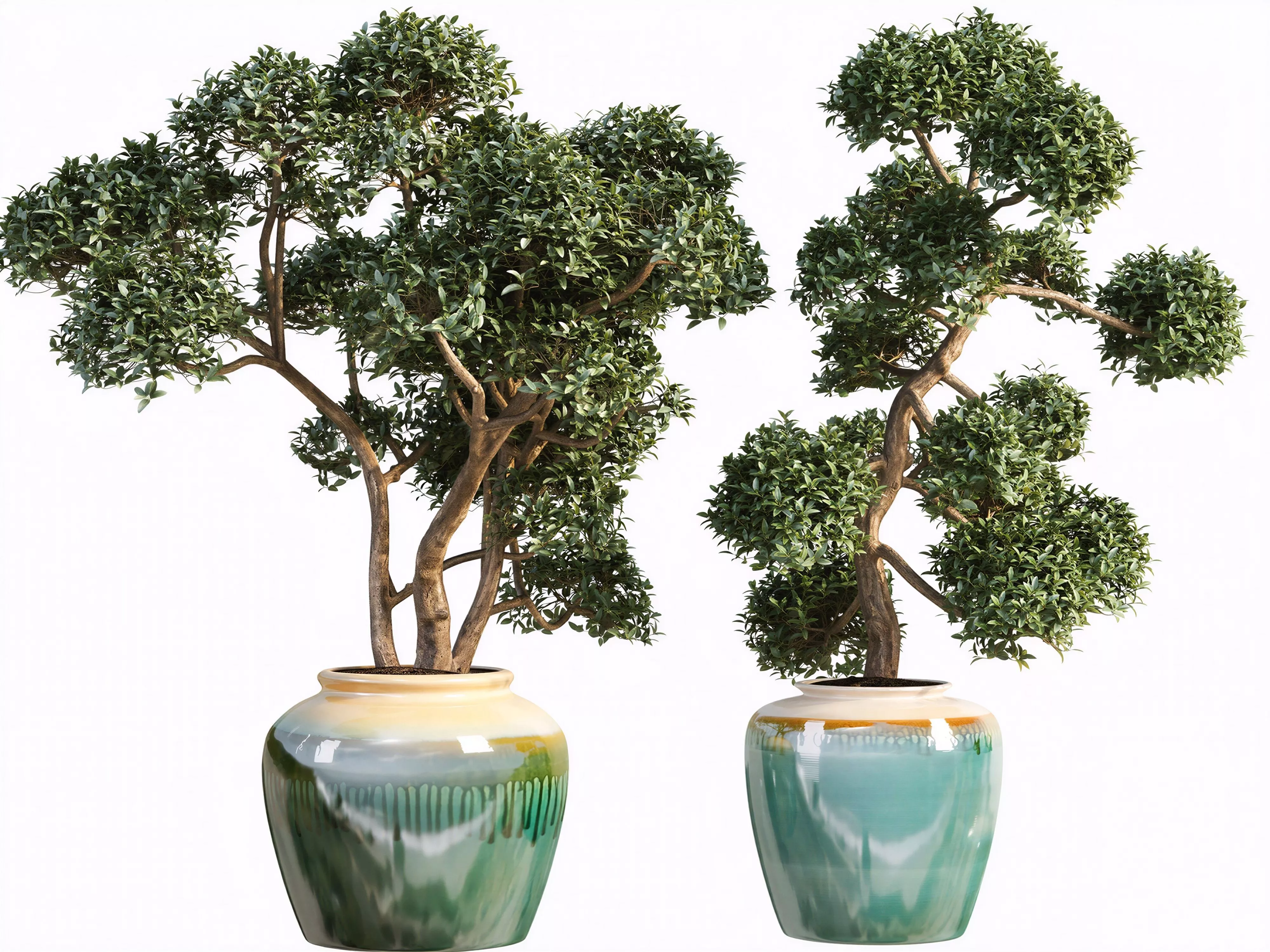 Cloud Shape Bonsai Tree Gradient Ceramic Pot Potted Plant Asset 3D model