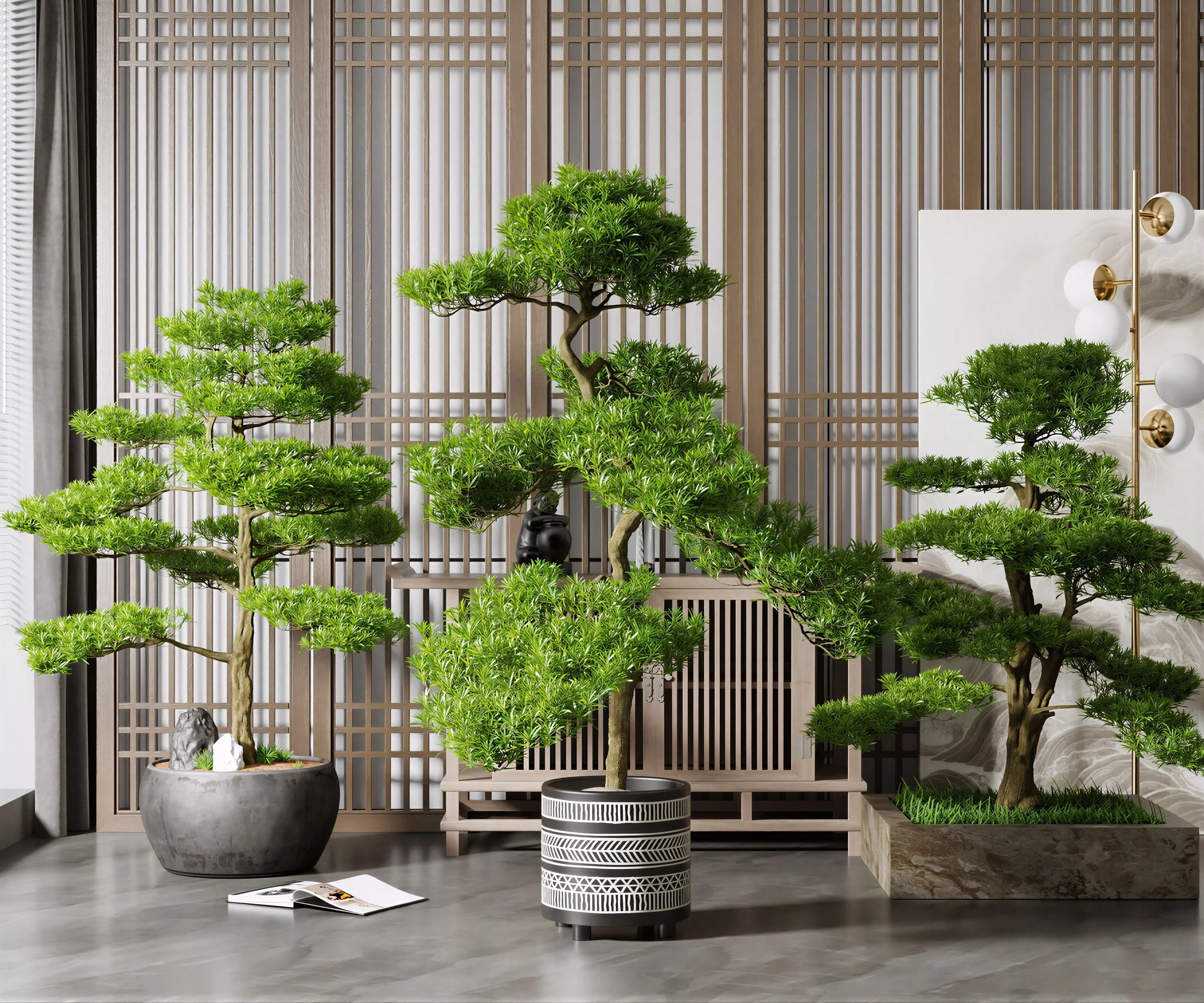 New Chinese Podocarpus Bonsai hree Styles Indoor Potted 3D model