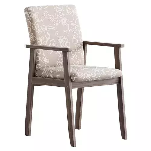 Modern Arm Chair with Upholstered Seat and Wood Arms 3D model 4