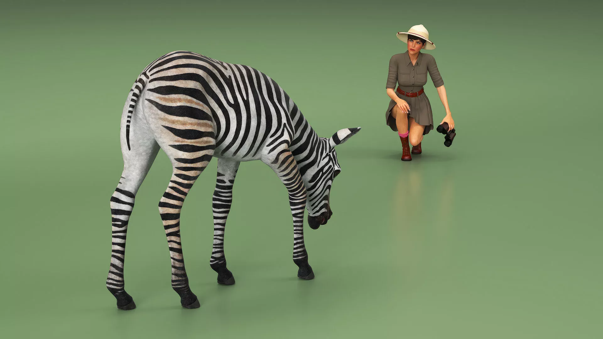 Explorer and Zebra Foal 3D model