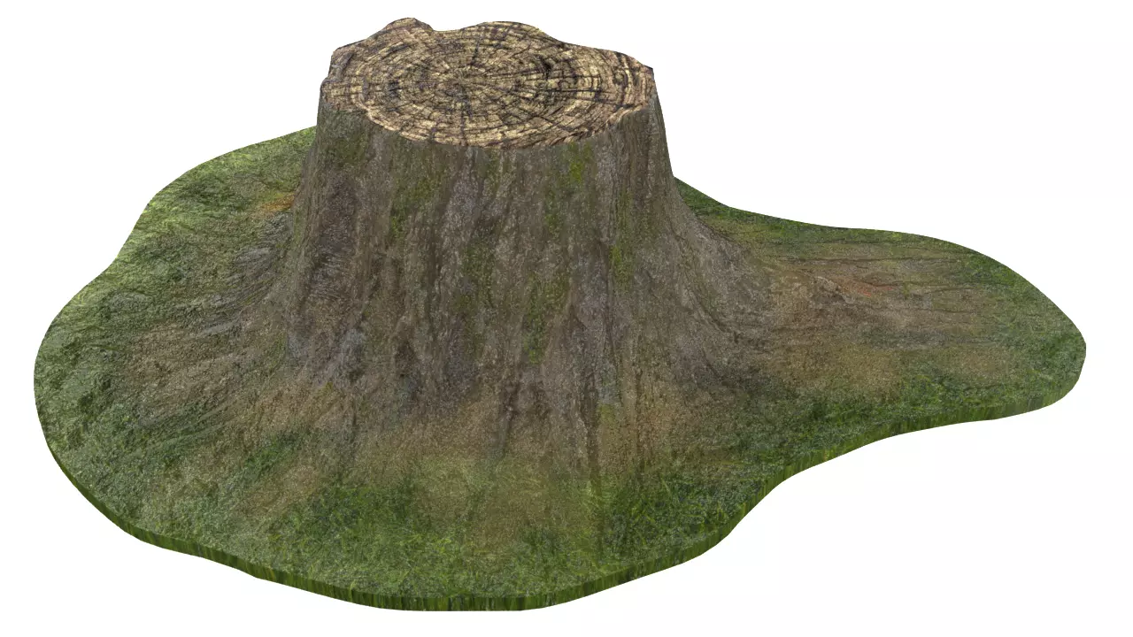 NMA TreeStump 001 Low-poly 3D model