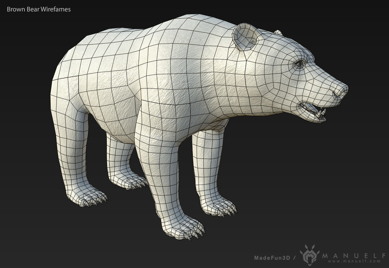 Brown Bear game ready PBR  Low-poly 3D model_10