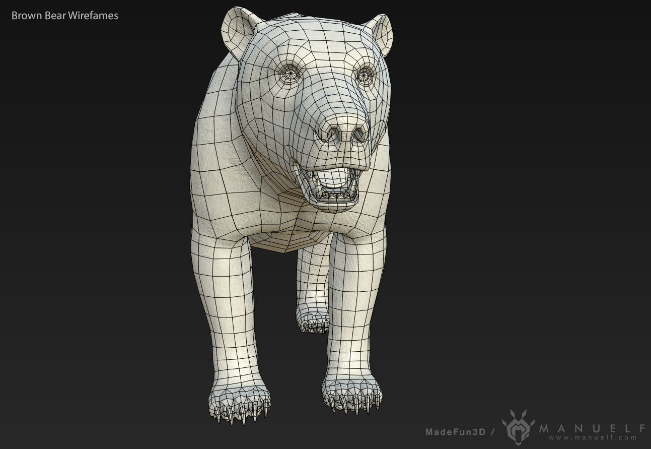 Brown Bear game ready PBR  Low-poly 3D model_12