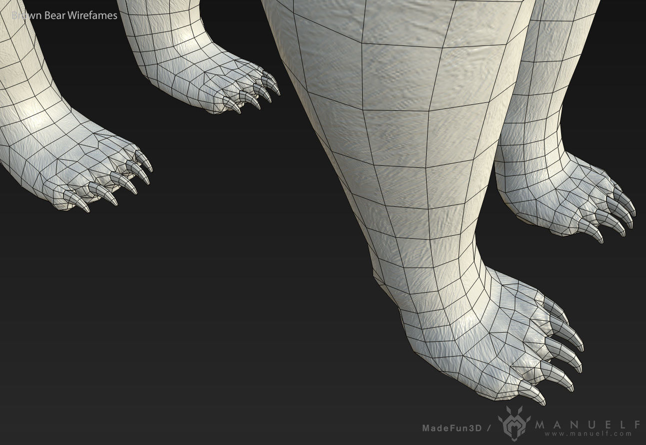 Brown Bear game ready PBR  Low-poly 3D model_15