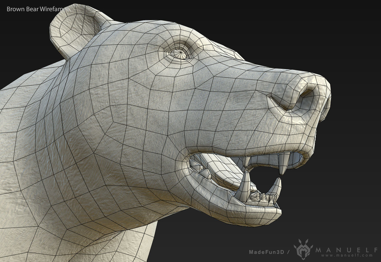 Brown Bear game ready PBR  Low-poly 3D model_11