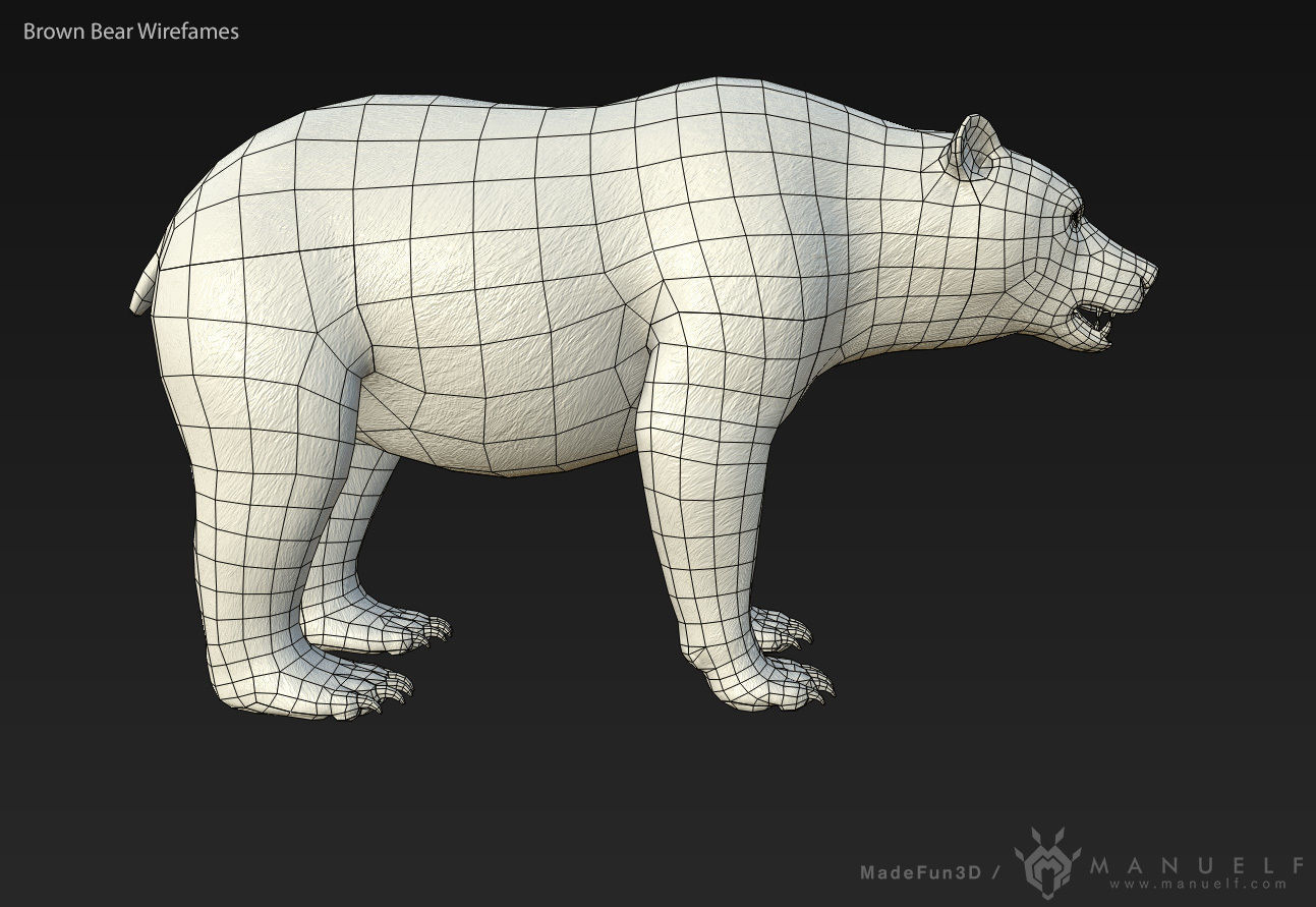 Brown Bear game ready PBR  Low-poly 3D model_13