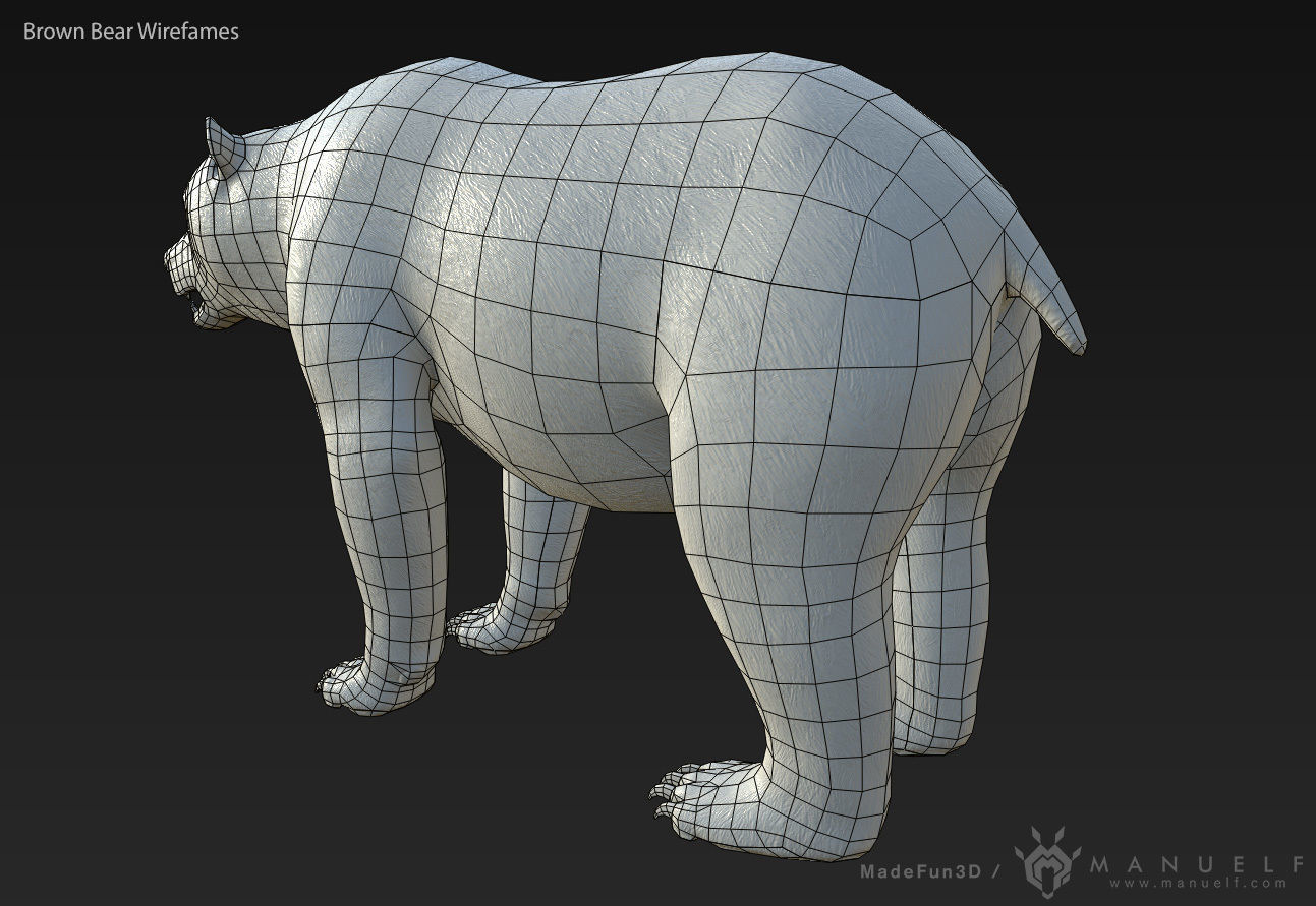 Brown Bear game ready PBR  Low-poly 3D model_14