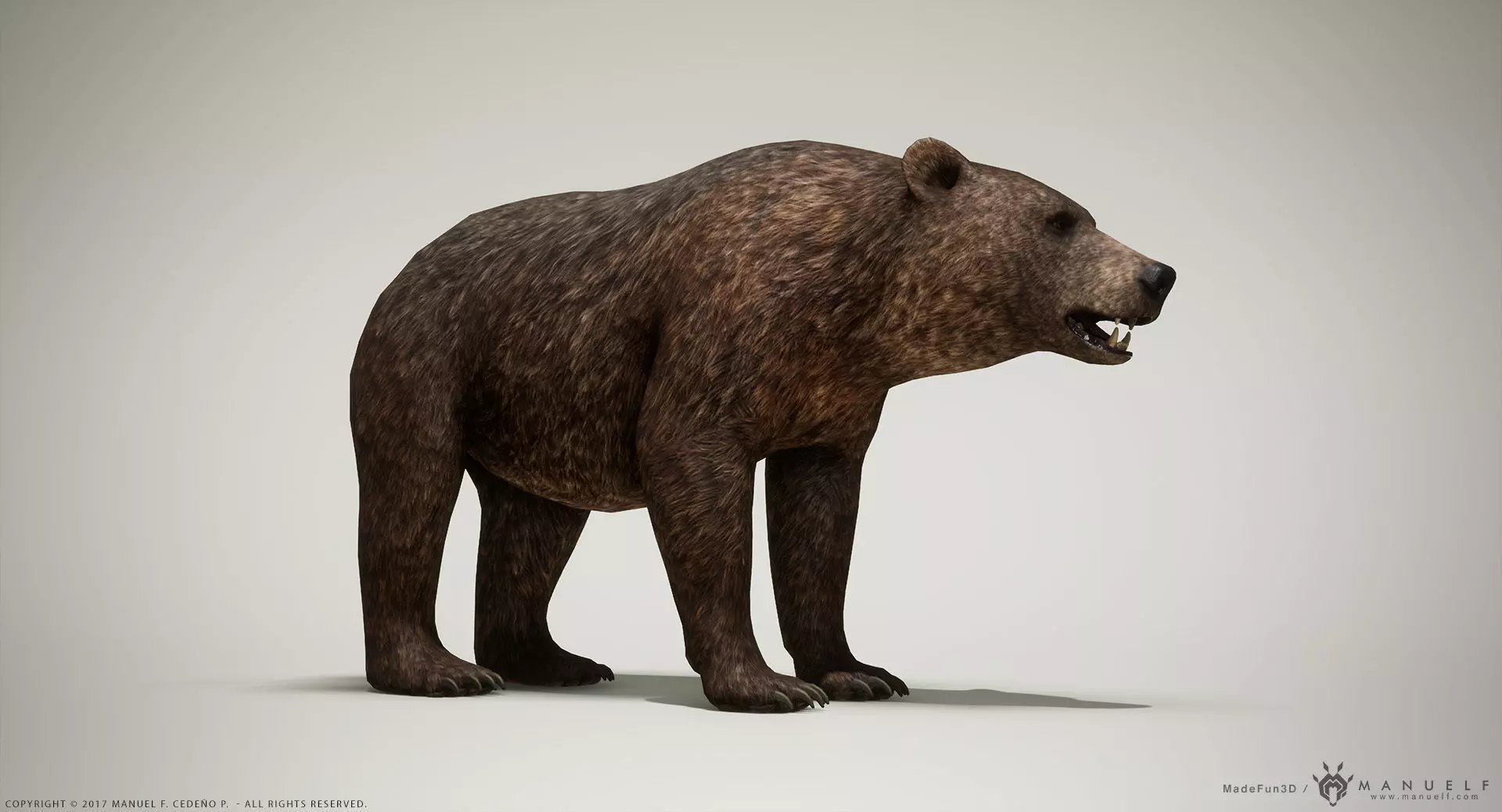 Brown Bear game ready PBR  Low-poly 3D model_0