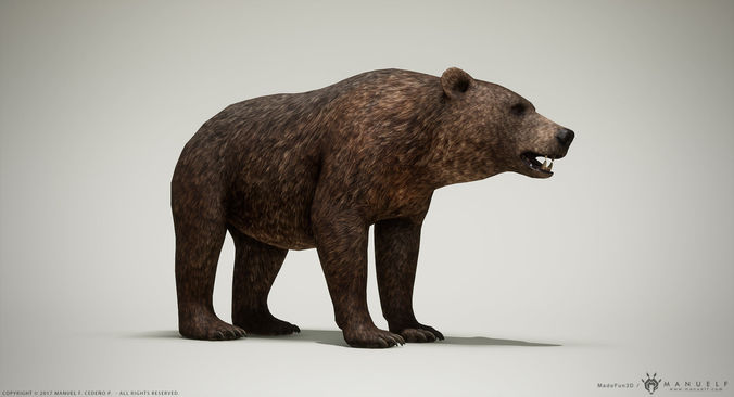 Brown Bear game ready PBR  Low-poly 3D model