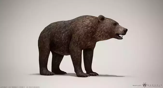 Brown Bear game ready PBR  Low-poly 3D model